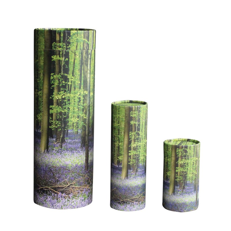 Scattering Urns
